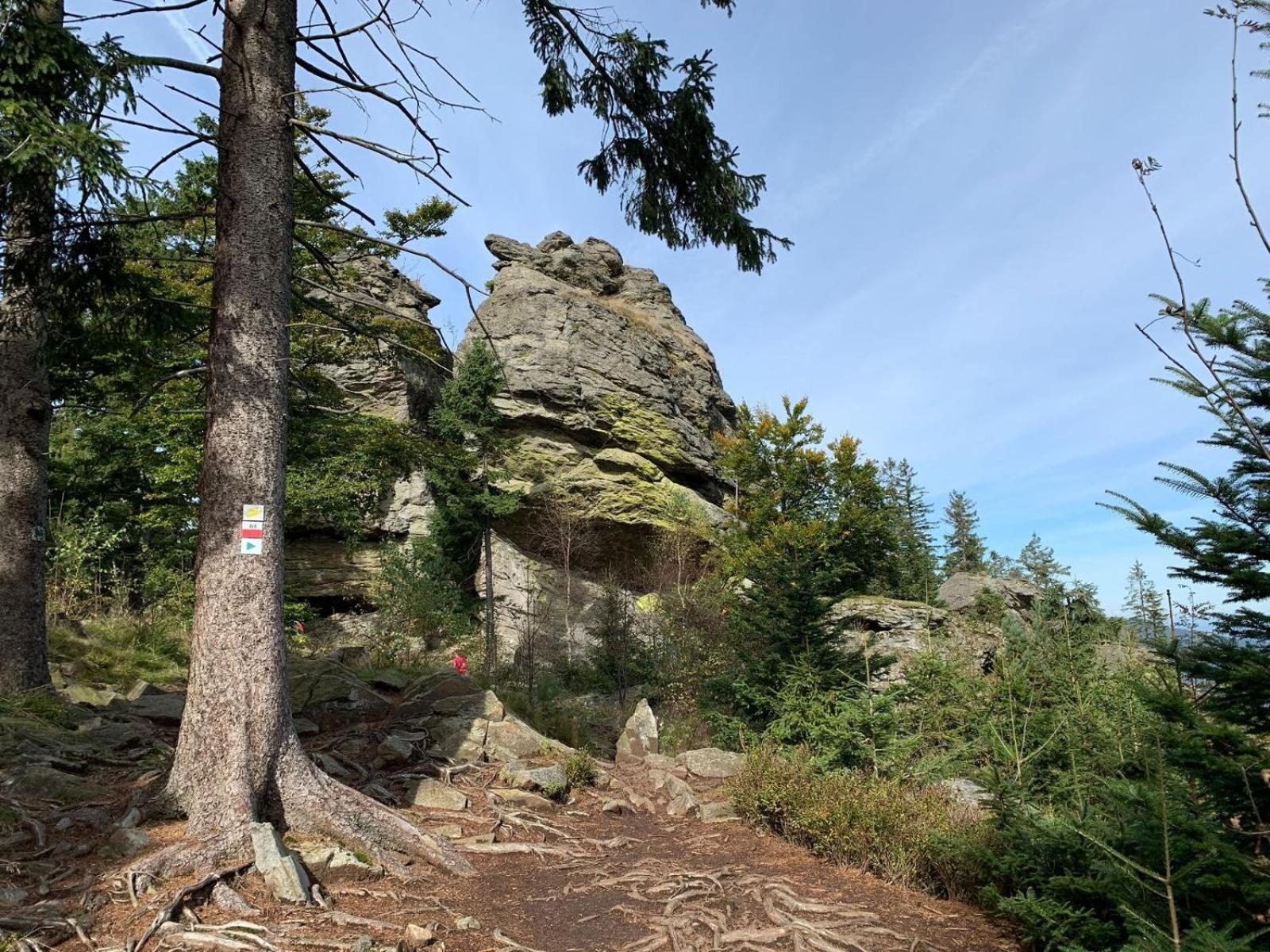 Fewo H.Reusswig Arrach Exteriör bild
